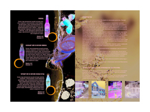 вода высшей категории