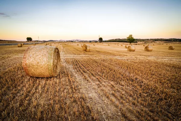 Фотография продукта 